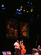 Photo of JazzArt installation at Lionel Loueke concert at Mondavi Center for the Performing Arts