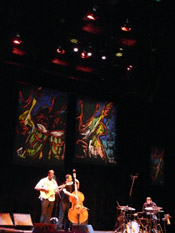 Photo of JazzArt installation at Lionel Loueke concert at Mondavi Center for the Performing Arts