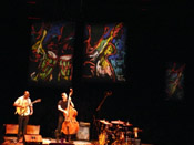 Photo of JazzArt installation at Lionel Loueke concert at Mondavi Center for the Performing Arts