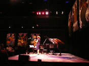 Photo of JazzArt installation at JennyScheinman concert at Mondavi Center for the Performing Arts