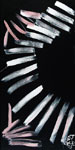 JazzArt ® Monumental -- Hands on Ivory -- by E.J. Gold